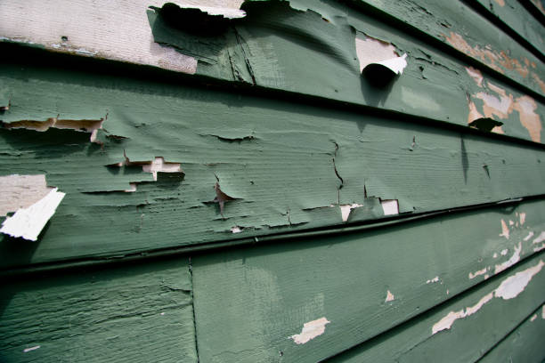 Best Residential Junk Removal  in Campbellsville, KY