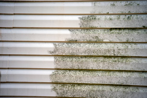 Best Furniture Removal  in Campbellsville, KY